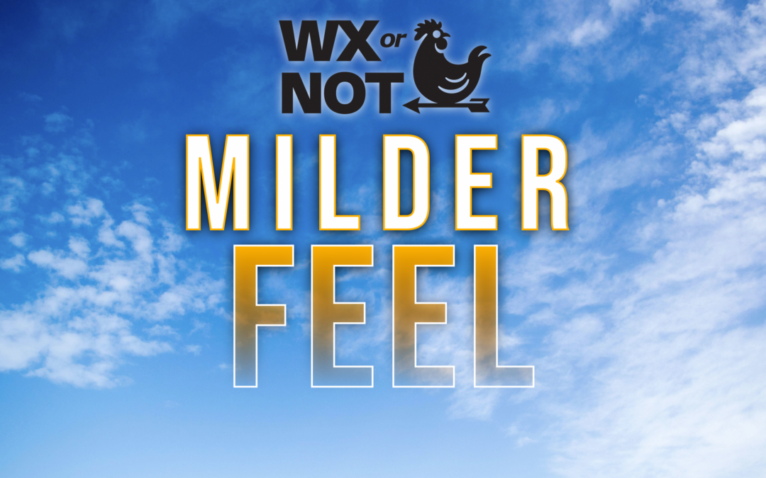 milder feel at times for the weekend